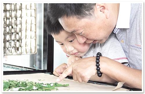 在线教育