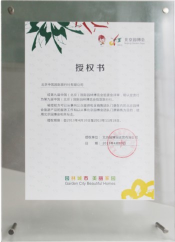 中凯国际